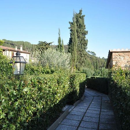 Monolocale Con Piscina S.Martino Leilighet Riparbella Eksteriør bilde